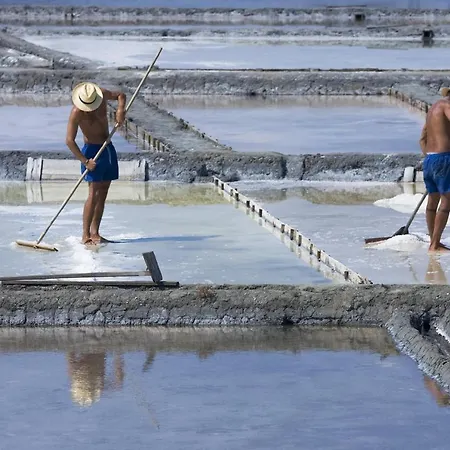 Apartment Gare Da Fonte Nova - Aveiro