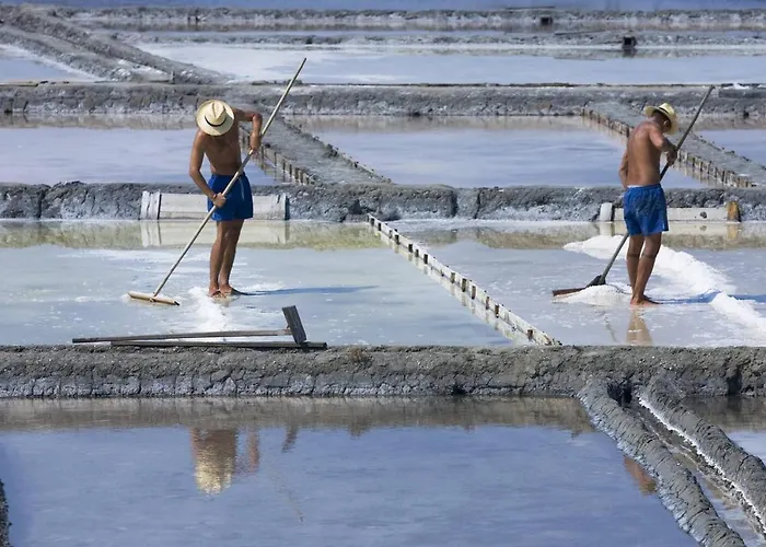 アパート Gare Da Fonte Nova - アヴェイロ