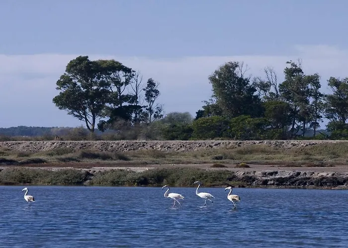 アパート Gare Da Fonte Nova -