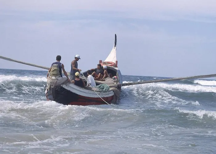 Gare Da Fonte Nova - * アヴェイロ